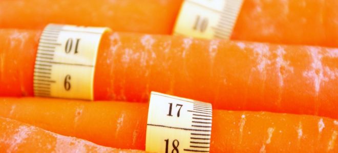 Морковь: полезный продукт при похудении или вред для фигуры?